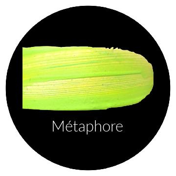 Métaphore Brewing